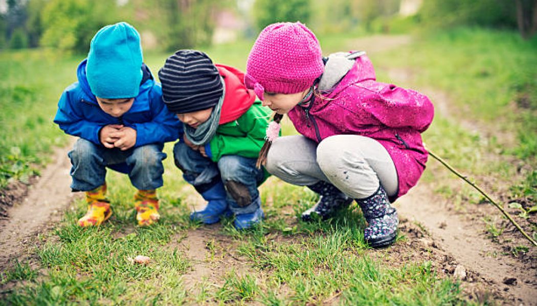 Three kids aged 5 and 8 examining a roman snail in the grass. Three kids aged 5 and 8 examining a roman snail in the grass.